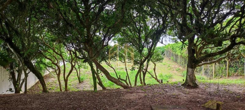 Terreno em Estaleiro Grande, Balneário Camboriú SC