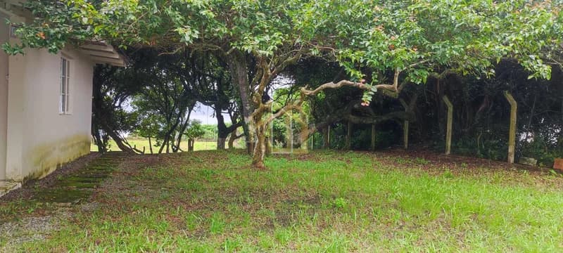 Terreno em Estaleiro Grande, Balneário Camboriú SC