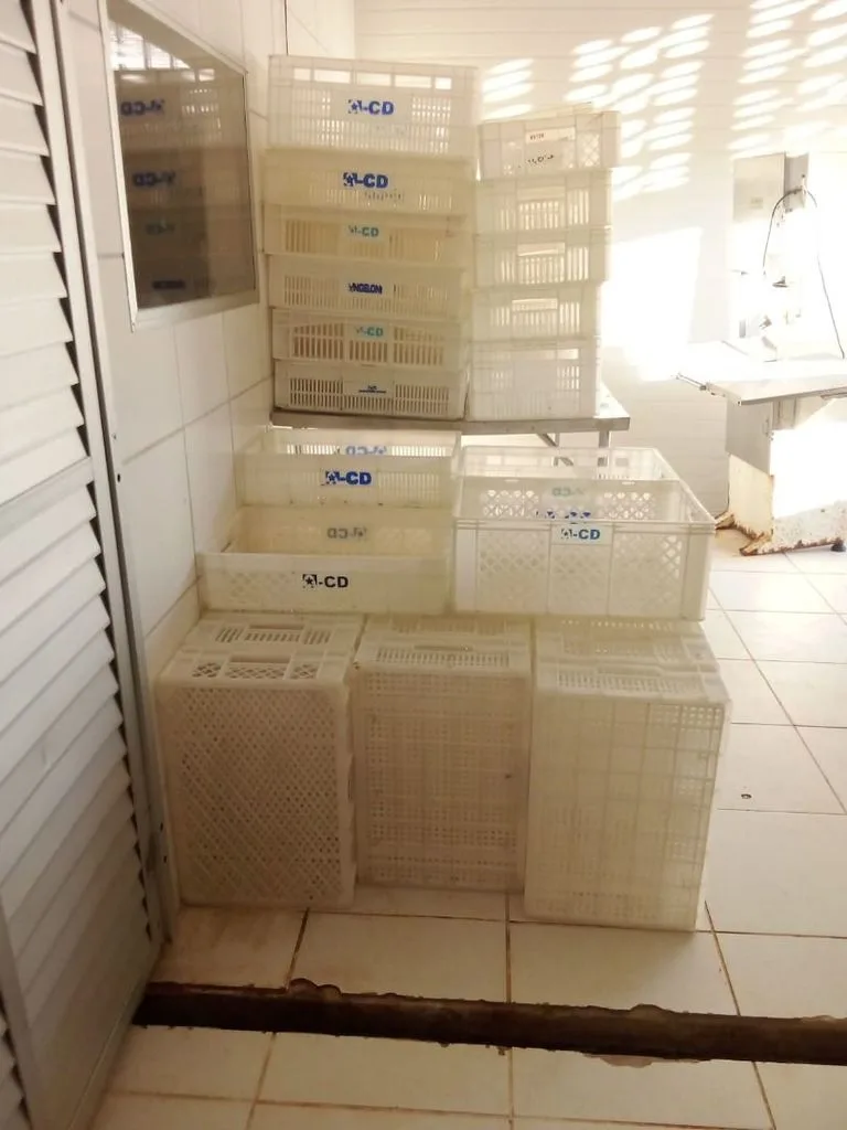 Foto 16