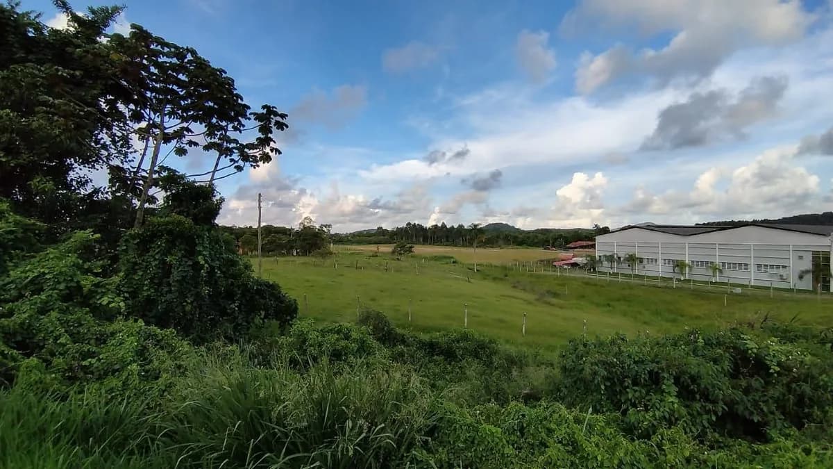 Foto 10