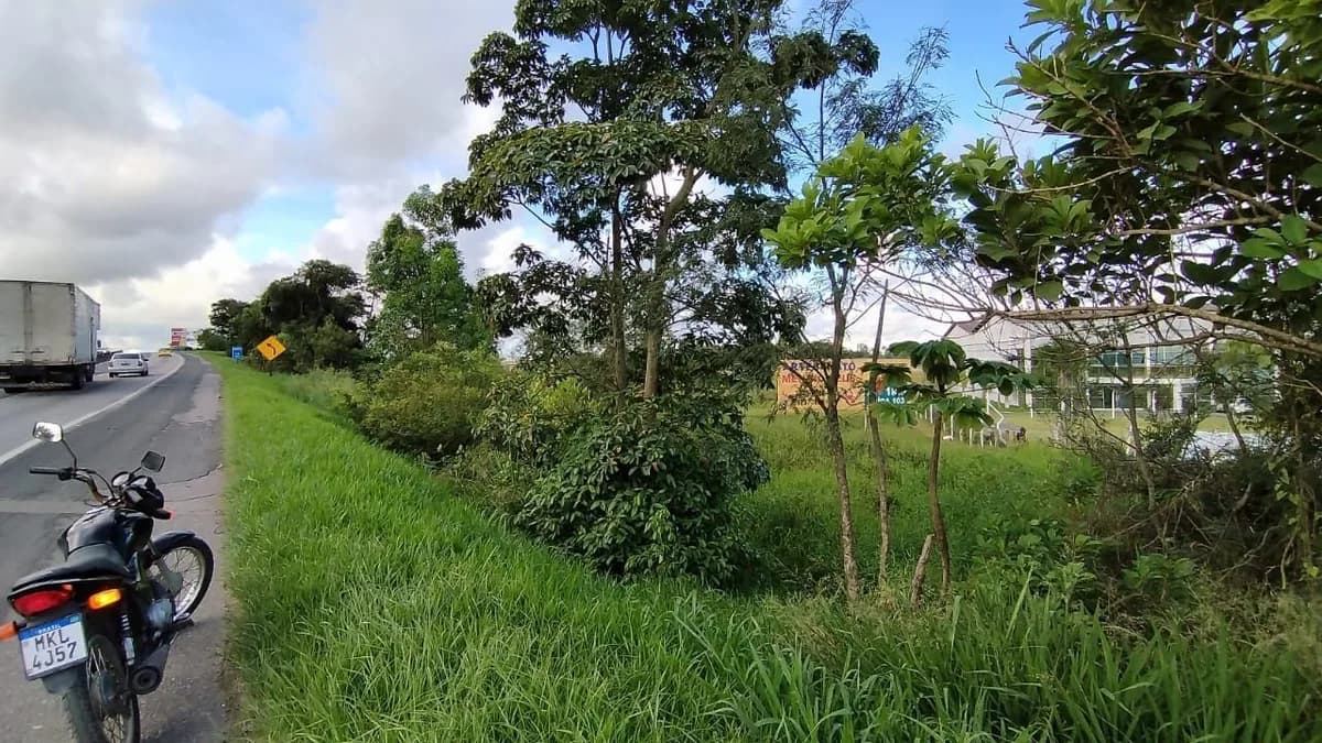 Foto 11