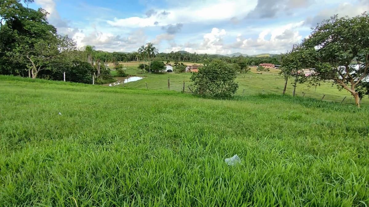 Foto 12